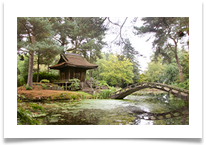 Temple and Almond Bridge in Japanese Garden